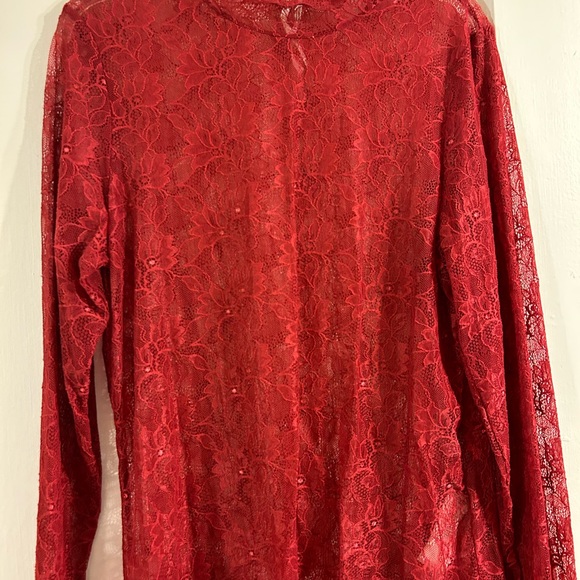 Anthropologie Lace Mockneck Valentine’s - Picture 5 of 6